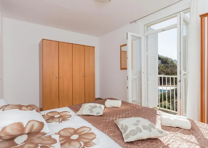 Apartment Brajkovic